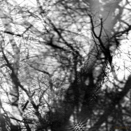 Grouper-Way Their Crept: Grouper-Way Their Crept [Winyl]