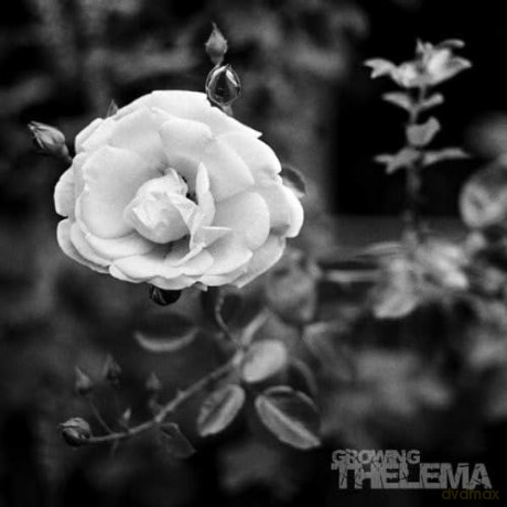 Thelema: Growing [Winyl]