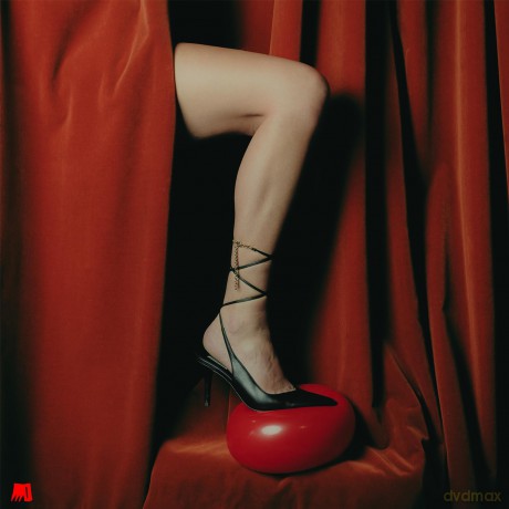 Gut Health-Stiletto: Gut Health-Stiletto [Winyl]