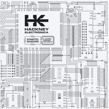 Hackney Electronica-Synaptic Shadows: Hackney Electronica-Synaptic Shadows [Winyl]