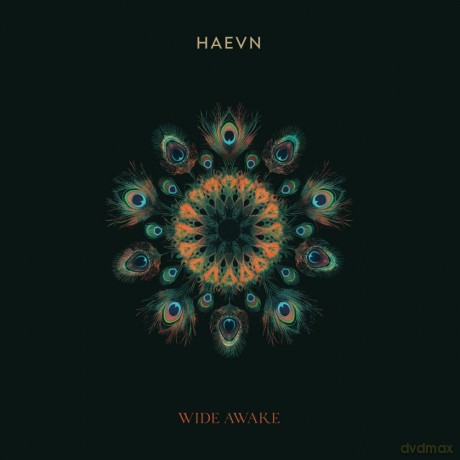 Haevn: HAEVN-Wide Awake [Winyl]