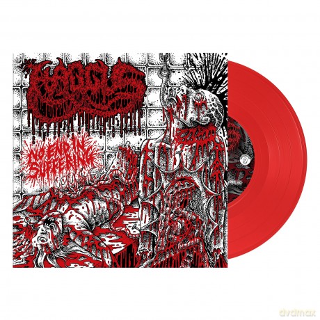 Haggus-No End In Suffering: Haggus-No End In Suffering [Winyl]