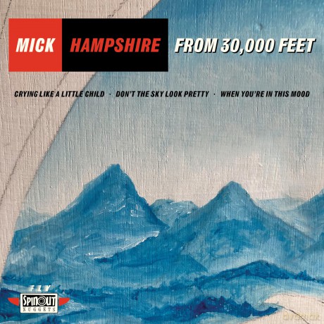 Hampshire Mick-From 30 000 Feet Ep: Hampshire Mick-From 30 000 Feet Ep [Winyl]