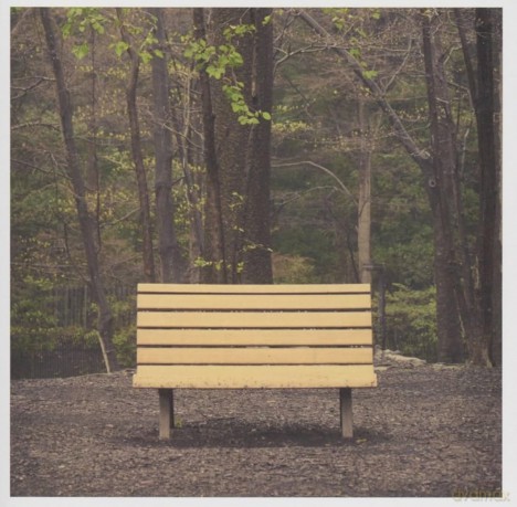 Streetlight Manifesto: Hands That Thieve [Winyl]