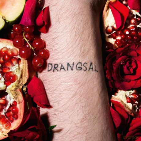 Drangsal: Harieschaim [Winyl]