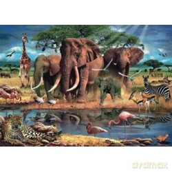 Puzzle 1000 Afryka [PUZZLE]
