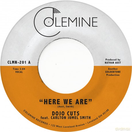 Dojo Cuts: Here We Are (Coke Bottle Clear) [Winyl]