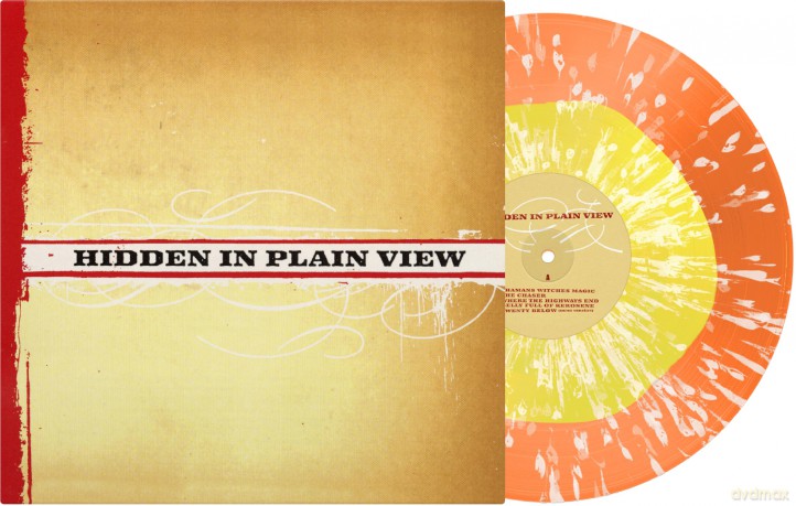 Hidden In Plain View: Hidden In Plain View [Winyl]