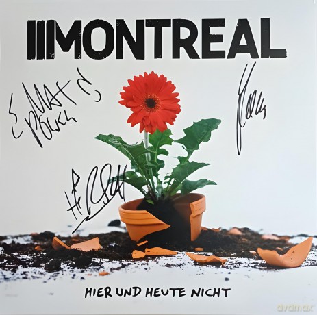 Montreal: Hier Und Heute Nicht - Green Colored [Winyl]