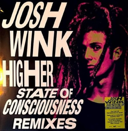 Wink Josh: Higher State Of Consciousness [Winyl]