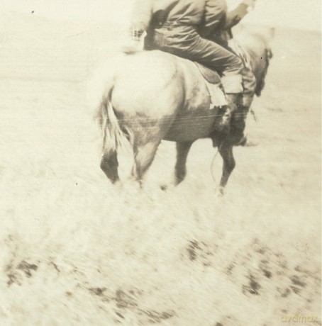Langhorne Bruce: Hired Hand soundtrack [Winyl]
