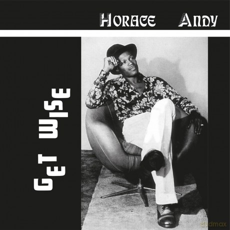 Horace Andy: Horace Andy-Get Wise [Winyl]
