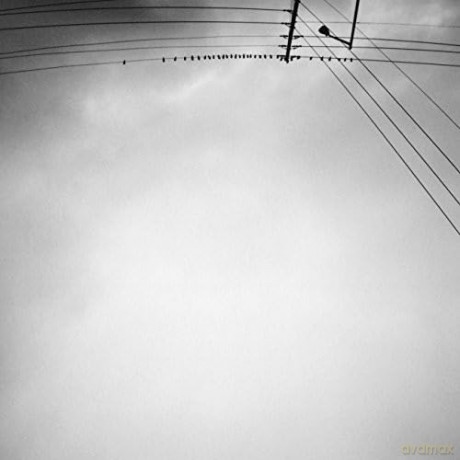 Margjeka Armand: Hummingbird [Winyl]