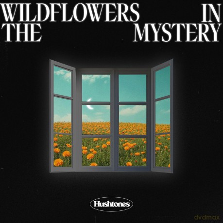 Hushtones-Wildflowers In The Mystery: Hushtones-Wildflowers in the Mystery [Winyl]