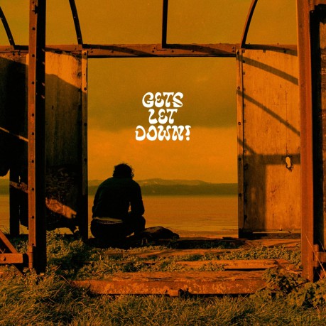 Hypothetics-Gets Let Down!: Hypothetics-GETS LET DOWN! [Winyl]