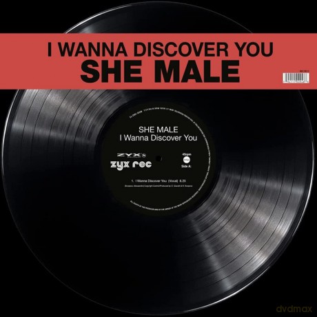 She Male: I Wanna Discover You [Winyl]