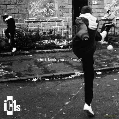Ic1s-What Took You So Long: Ic1S-What Took You So Long [Winyl]