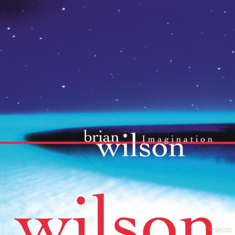 Wilson Brian: Imagination (140 Gr 12" -Ltd.) [Winyl]