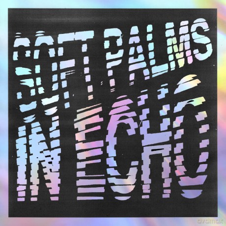 Soft Palms: In Echo - Black Ice [Winyl]
