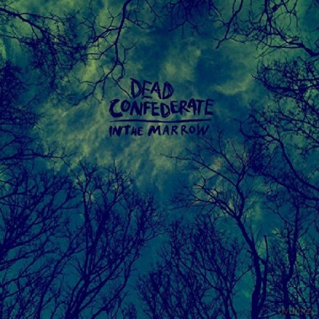 Dead Confederate: In The Marrow [Winyl]