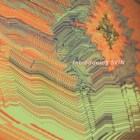 Svin: Introducing Svin (Orange) [Winyl]