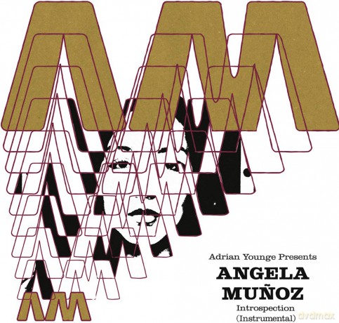 Munoz Angela: Introspection (Instrumentals) [Winyl]