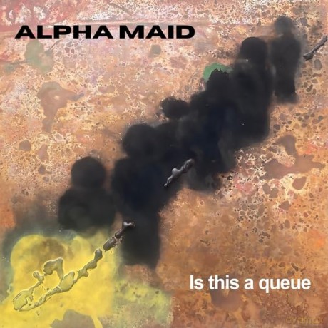 Alpha Maid: Is This A Queue [Winyl]