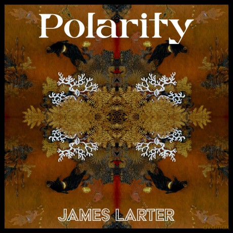 James Larter-Polarity: James Larter-Polarity [Winyl]