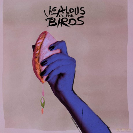 Jealous Of The Birds-Moths Of What I Want Will Eat: Jealous Of The Birds-Moths Of What I Want Will Eat [Winyl]