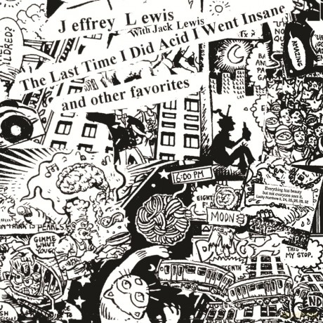 Jeffrey Lewis-The Last Time I Did Acid I Went Insane: Jeffrey Lewis-The Last Time I Did Acid I Went Insane [Winyl]