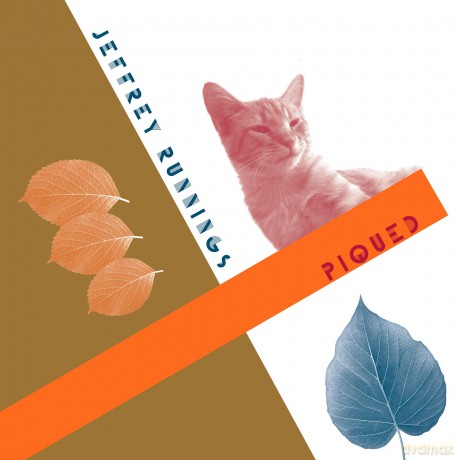 Jeffrey Runnings-Piqued: Jeffrey Runnings-Piqued [2xWinyl]