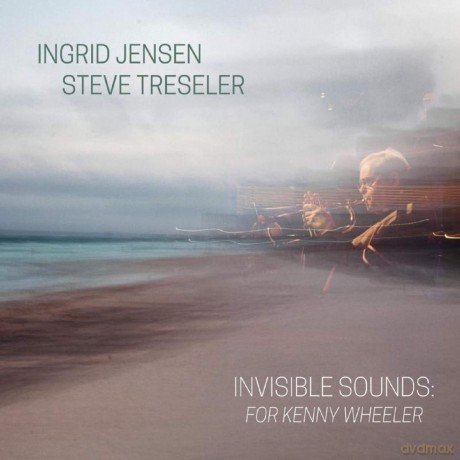 Jensen Ingrid: Jensen Ingrid/Steve Treseler-Invisible Sounds For Kenny Wh [2xWinyl]