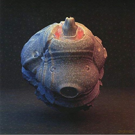 Joe Goddard-So Much: Joe Goddard-So Much [Winyl]