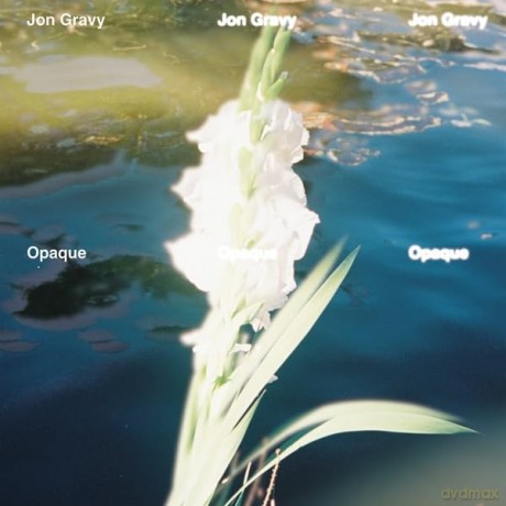 Jon Gravy: Jon Gravy-Opaque [Winyl]