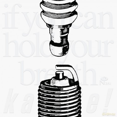 Karate-If You Can Hold Your Breath: Karate-If You Can Hold Your Breath [5xWinyl]