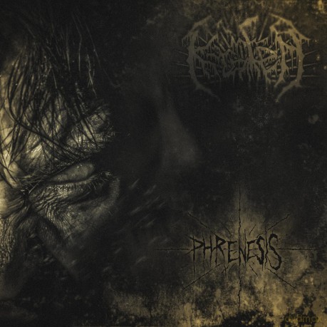 Krater-Phrenesis: Krater-Phrenesis [Winyl]