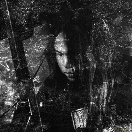 Thisquietarmy: Langue Hybride [Winyl]