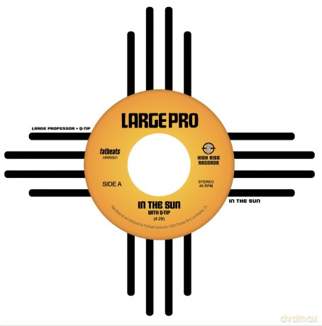 Large Professor-In The Sun: Large Professor-In The Sun [Winyl]