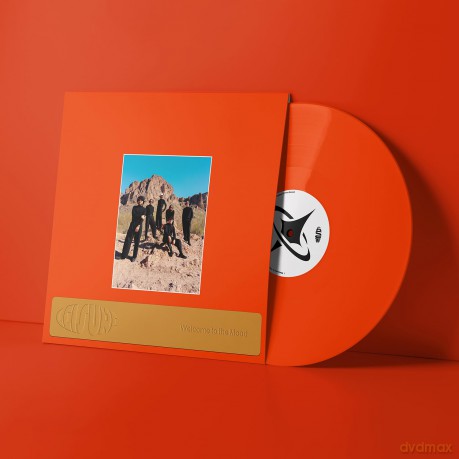 Leisure-Welcome To The Mood: Leisure-Welcome To The Mood [Winyl]