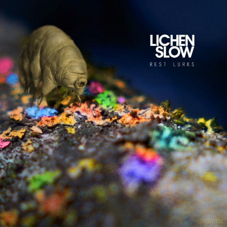 Lichen Slow-Rest Lurks: Lichen Slow-Rest Lurks [Winyl]