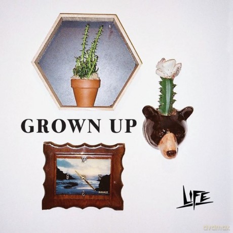 Life-Grown Up: Life-Grown Up [Winyl]