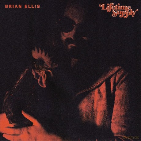 Ellis Brian: Lifetime Supply [Winyl]