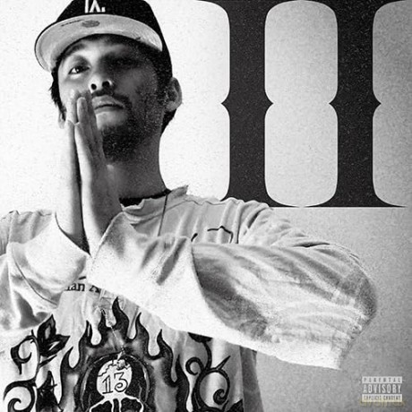 Aiwabeatz: Like No Other II [Winyl]