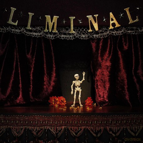 Chase Petra: Liminal [Winyl]