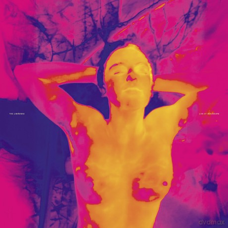 Liminanas: Live At Beaubourg [2xWinyl]
