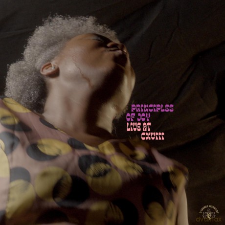 Principles Of Joy: Live At Cxviii [Winyl]