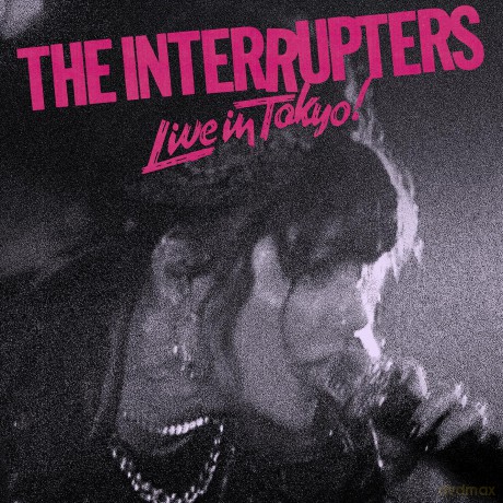 Interrupters: Live In Tokyo [Winyl]