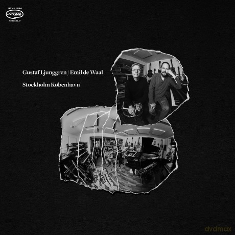Ljunggren Gustaf: Ljunggren Gustaf/Emil De Waal-Stockholm Kobenhavn [Winyl]