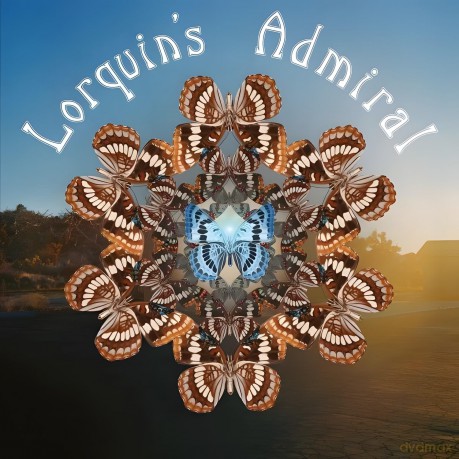 Lorquin's Admiral: Lorquin's Admiral [Winyl]