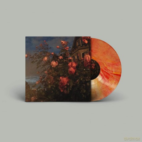 Bence John: Love (Blood Orange) [Winyl]
